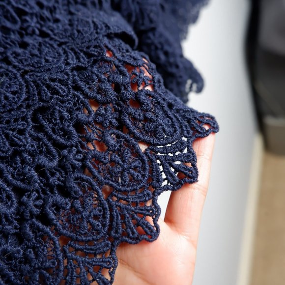 Ann Taylor Loft Navy Blue Lace Dressy Shorts - Picture 5 of 6